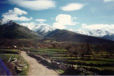 Camino del monte