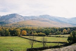 Camino del monte